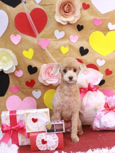 20230225ネネちゃん